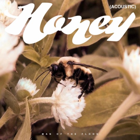 Honey (Acoustic) | Boomplay Music