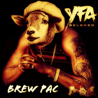 Brew Pac