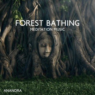 Forest Bathing Meditation Music: Shinrin-Yoku, Sink into Nature, Increase Happiness, Health, Vitality