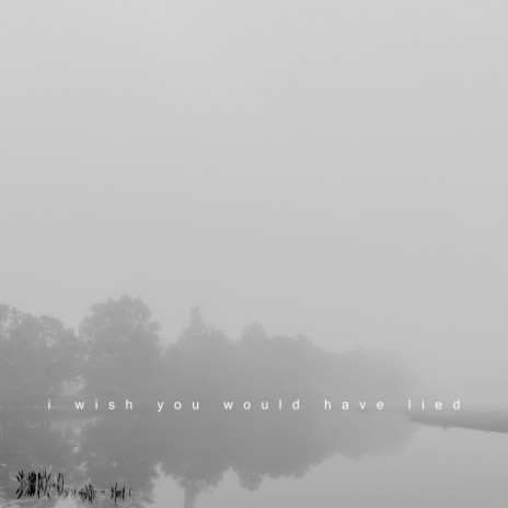 i wish you would have lied | Boomplay Music