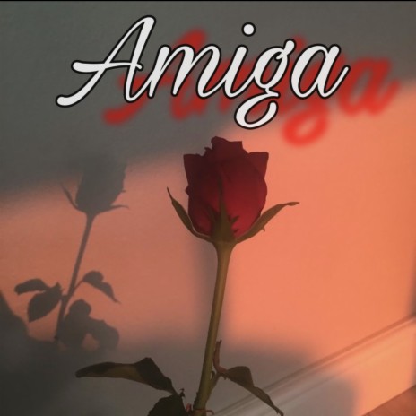 Amiga | Boomplay Music