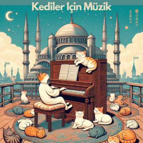 Piyano Kedileri ft. Music for cats | Boomplay Music