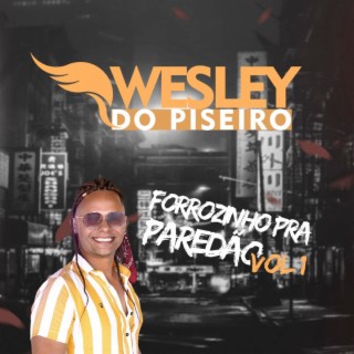 Forrozinho pra Paredão, Vol. 01