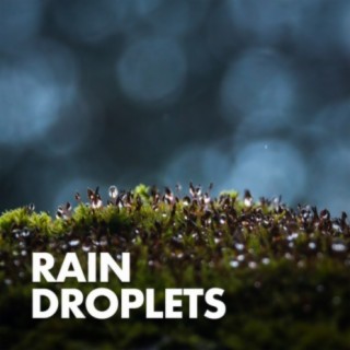 Rain Droplets