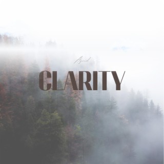 Clarity lyrics | Boomplay Music