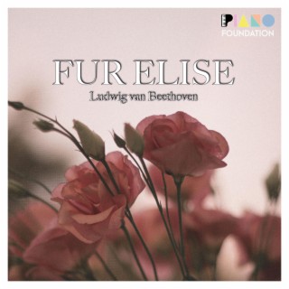Für Elise, Bagatelle No. 25 in A minor (WoO 59) (Slow Romantic Version)
