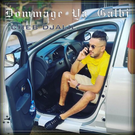 Dommage ya galbi | Boomplay Music