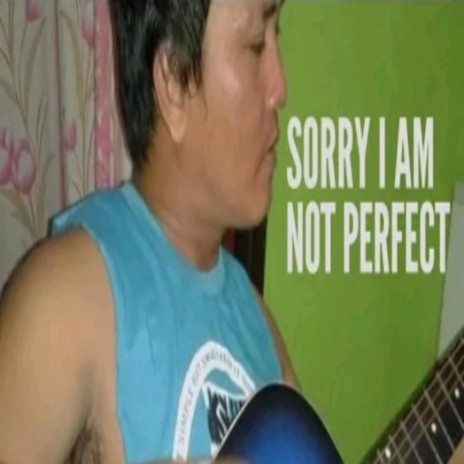 Sorry I Am Not Perfect | Boomplay Music