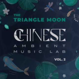 Chinese Ambient Music Lab, Vol. 2