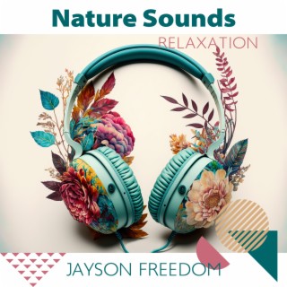 Nature Sounds Relaxation: Hang Music on Nature