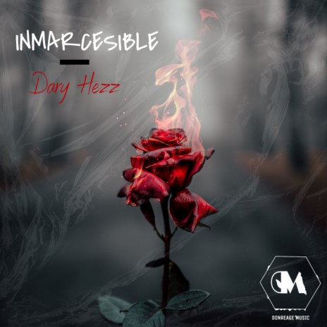 INMARCESIBLE | Boomplay Music