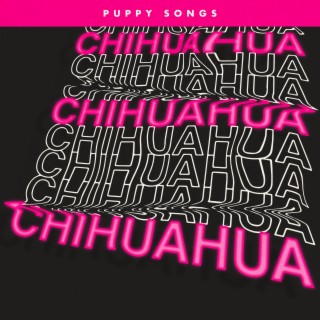 Chihuahua Chihuahua lyrics | Boomplay Music