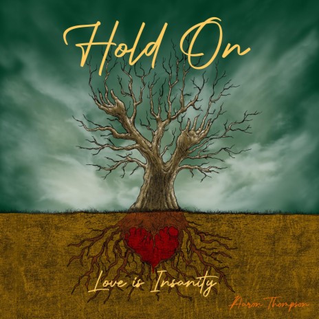 Hold On (Love is Insanity) | Boomplay Music