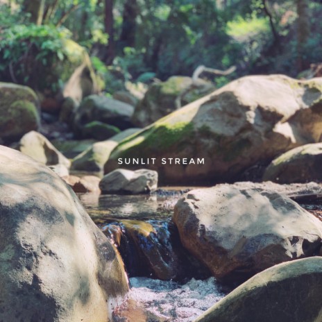 Sunlit Stream | Boomplay Music
