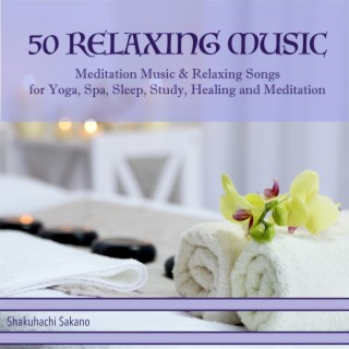 50 Relaxing Music: Meditation Music & Relaxing Songs for Yoga, Spa, Sleep, Study, Healing and Meditation