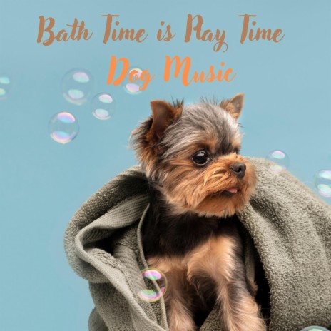 Beutiful Time for Your Dog