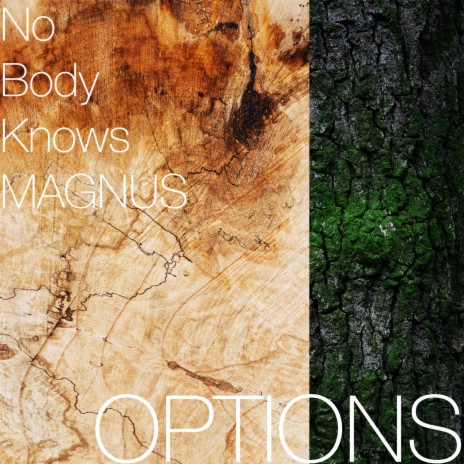 Options (Slowed + Reverb) | Boomplay Music