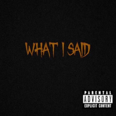 What I Said | Boomplay Music