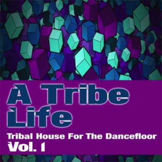 A Tribe Life. 1 - Tribal House for the Dancefloor