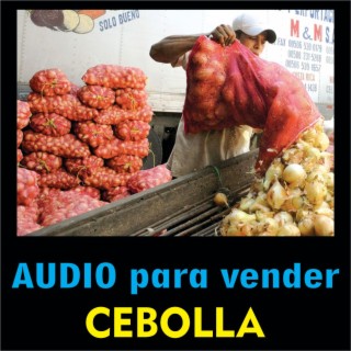 Audio para vender cebolla