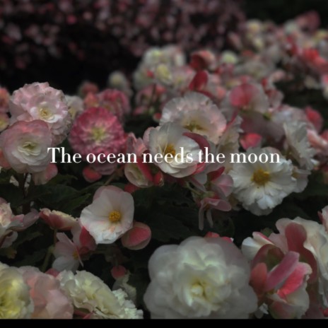 The ocean needs the moon
