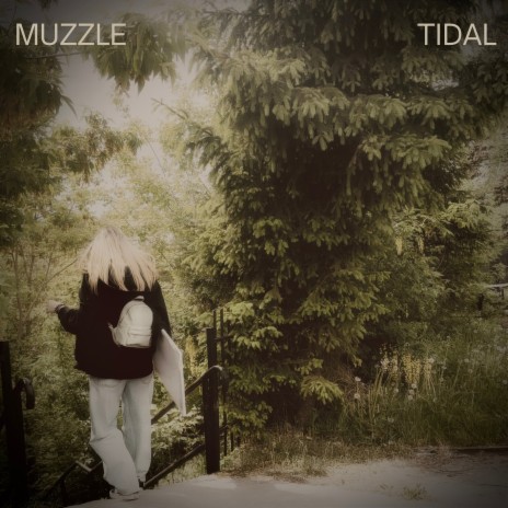 Tidal | Boomplay Music