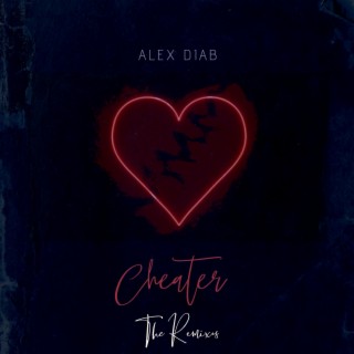 Cheater (The Remixes)
