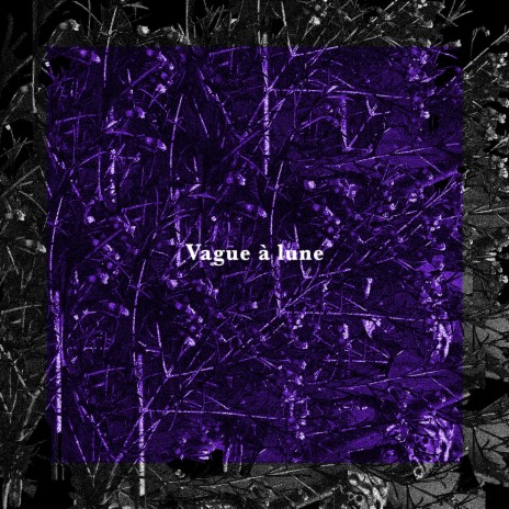 Vague à lune | Boomplay Music