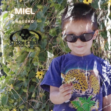 Miel | Boomplay Music