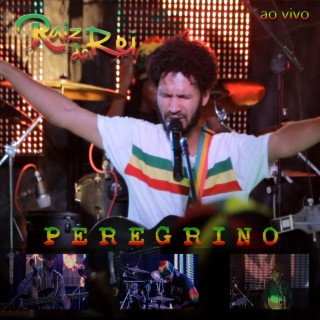 Peregrino (Ao Vivo 2013)