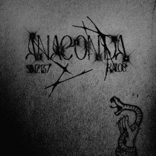 Anaconda ft. Kalós lyrics | Boomplay Music