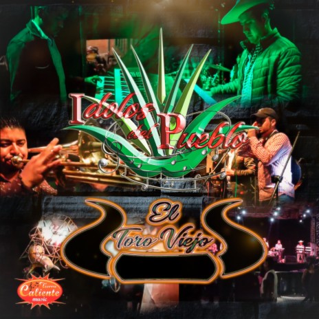 El Toro Viejo | Boomplay Music