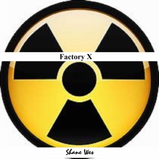 Factory X