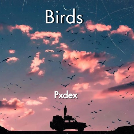 Birds | Boomplay Music