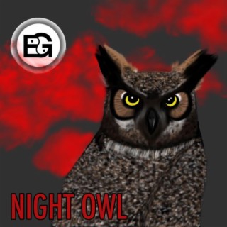 Night Owl lyrics | Boomplay Music