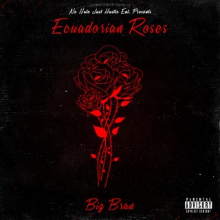 Ecuadorian Roses lyrics | Boomplay Music