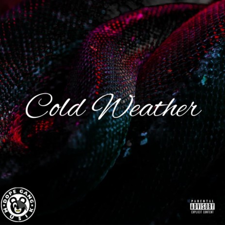 Cold Weather | Boomplay Music