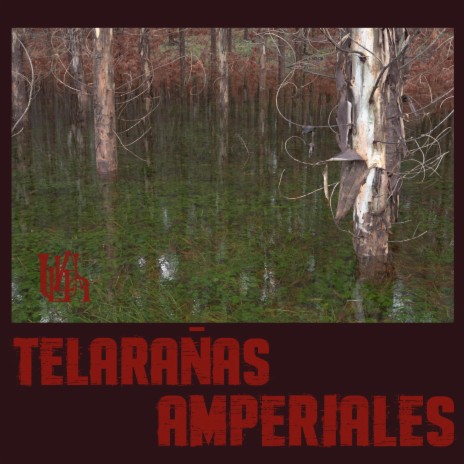 TELEARAÑAS AMPERIALES | Boomplay Music