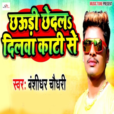 Chhaudi Chhedal Dilwa Kati Se | Boomplay Music