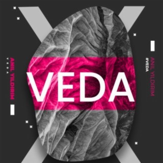 Veda 2 lyrics | Boomplay Music