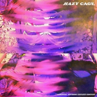 hazy cage