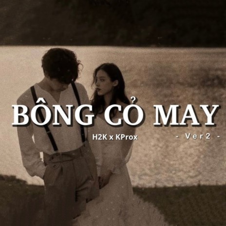 Bông Cỏ May Ver 2 (Lofi) ft. H2K | Boomplay Music