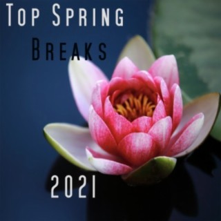 Top Spring Breaks 2021