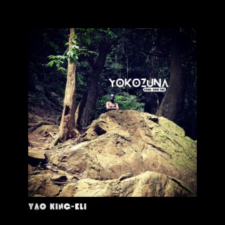 Yokozuna lyrics | Boomplay Music