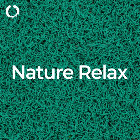 Serenity Nature Relaxation Oasis ft. Magnetic Minds Meditations & Catch Your Dream | Boomplay Music