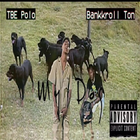 My Dogg ft. TBE Polo | Boomplay Music