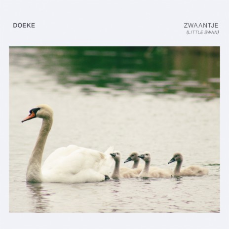 Zwaantje (Little Swan) | Boomplay Music