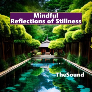 Mindful Reflections of Stillness