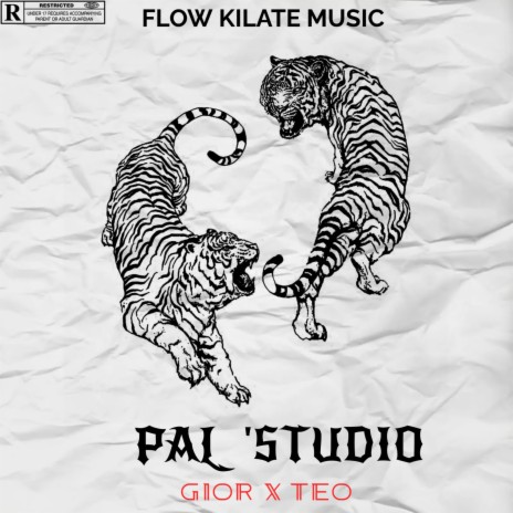 PAL STUDIO ft. Teo Vanegas | Boomplay Music