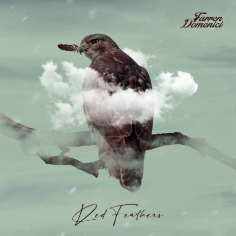 Red Feathers | Boomplay Music